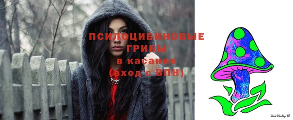мет Богданович