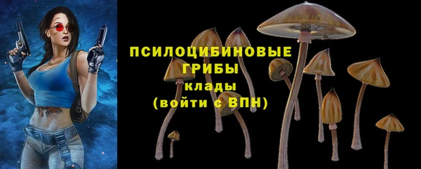 не бодяженный Беломорск